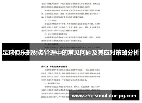 足球俱乐部财务管理中的常见问题及其应对策略分析